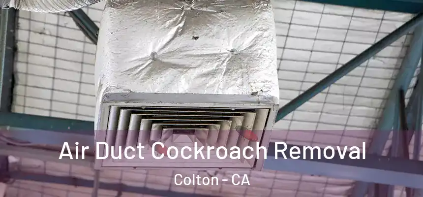  Air Duct Cockroach Removal Colton - CA