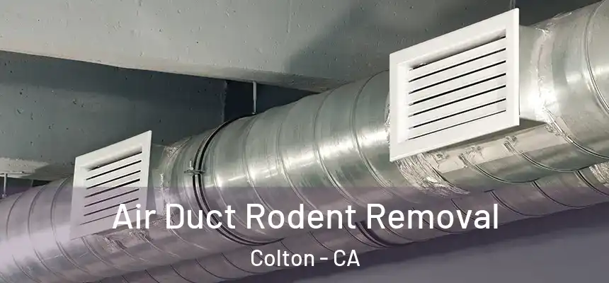 Air Duct Rodent Removal Colton - CA