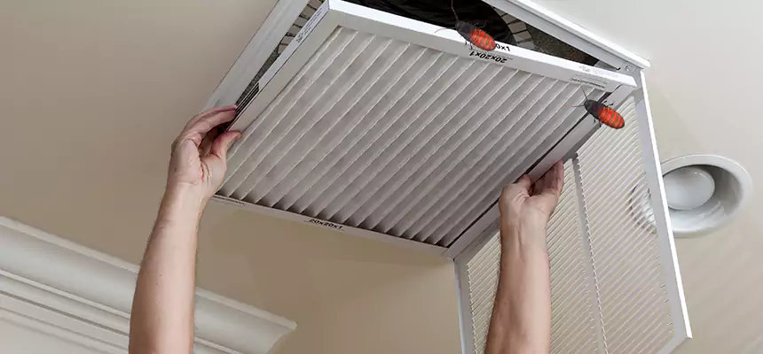 Preventive Cockroach-Proofing for Ducts in Colton