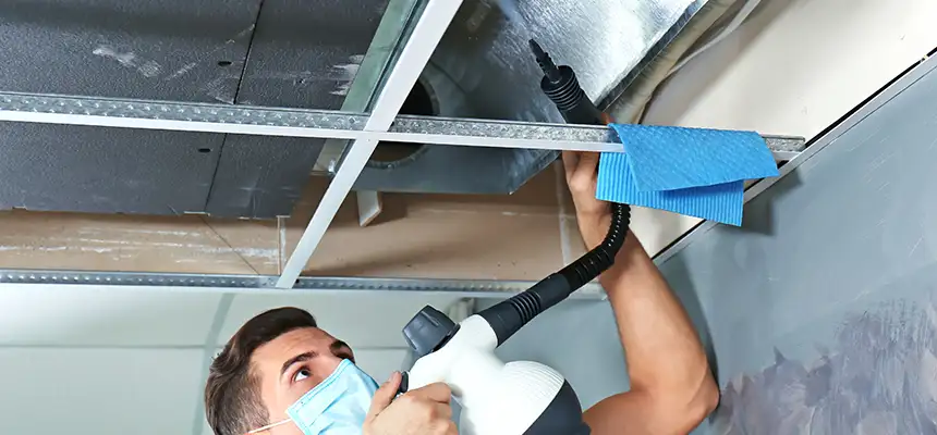 Our Air Duct Rodent Removal Services in Colton, CA