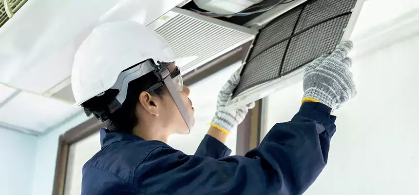 Our Mold & Mildew Removal from Air Ducts Services in Colton, CA