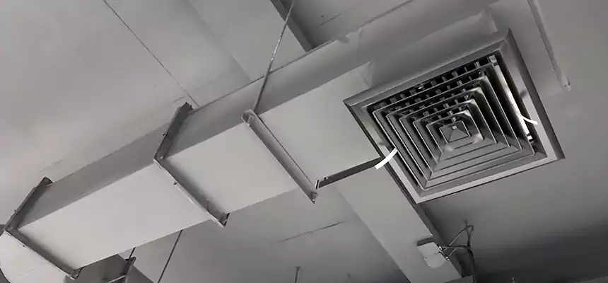 Our Pest Removal From Ducts Services in Colton, CA