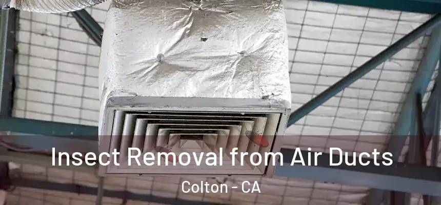 Insect Removal from Air Ducts Colton - CA