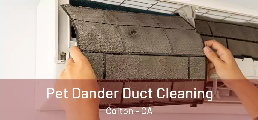  Pet Dander Duct Cleaning Colton - CA