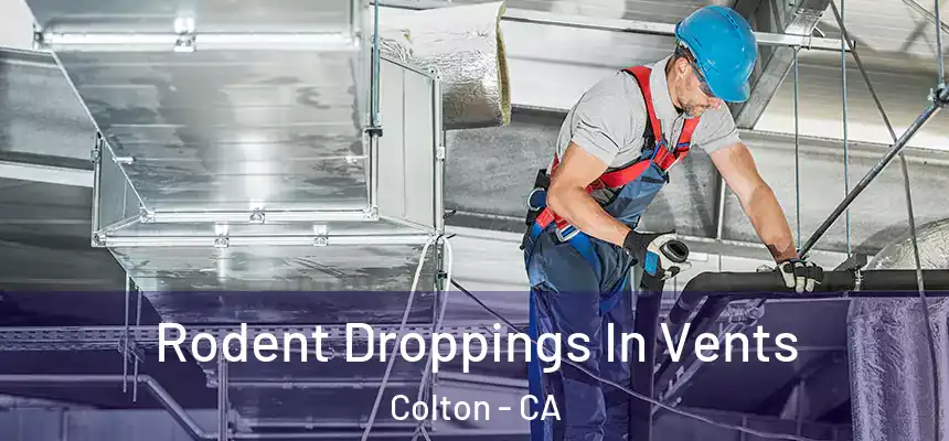 Rodent Droppings In Vents Colton - CA