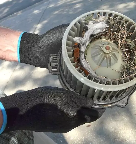 About Air Duct Mice Removal in Colton, CA