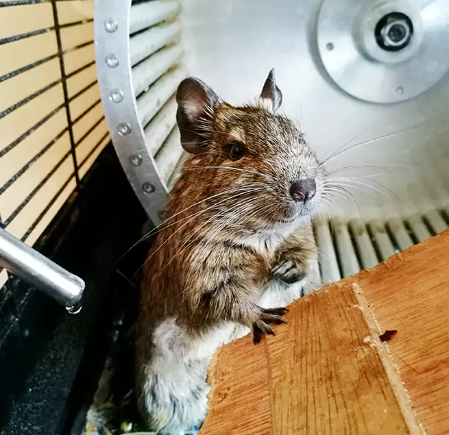 Why Homeowners & Businesses Trust Us Colton, CA?