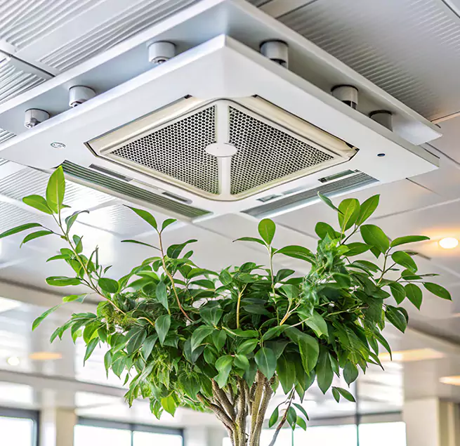 Why Homeowners & Businesses Trust Us in Colton, CA?