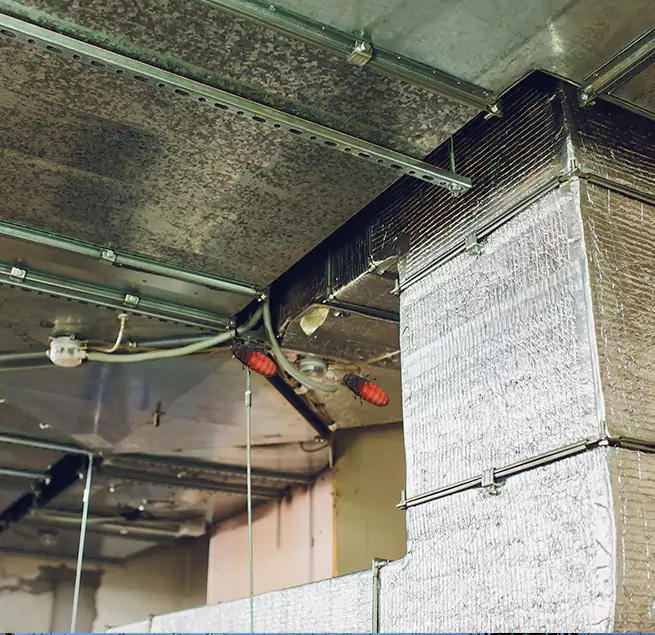 Why Homeowners & Businesses Trust Us Colton, CA?